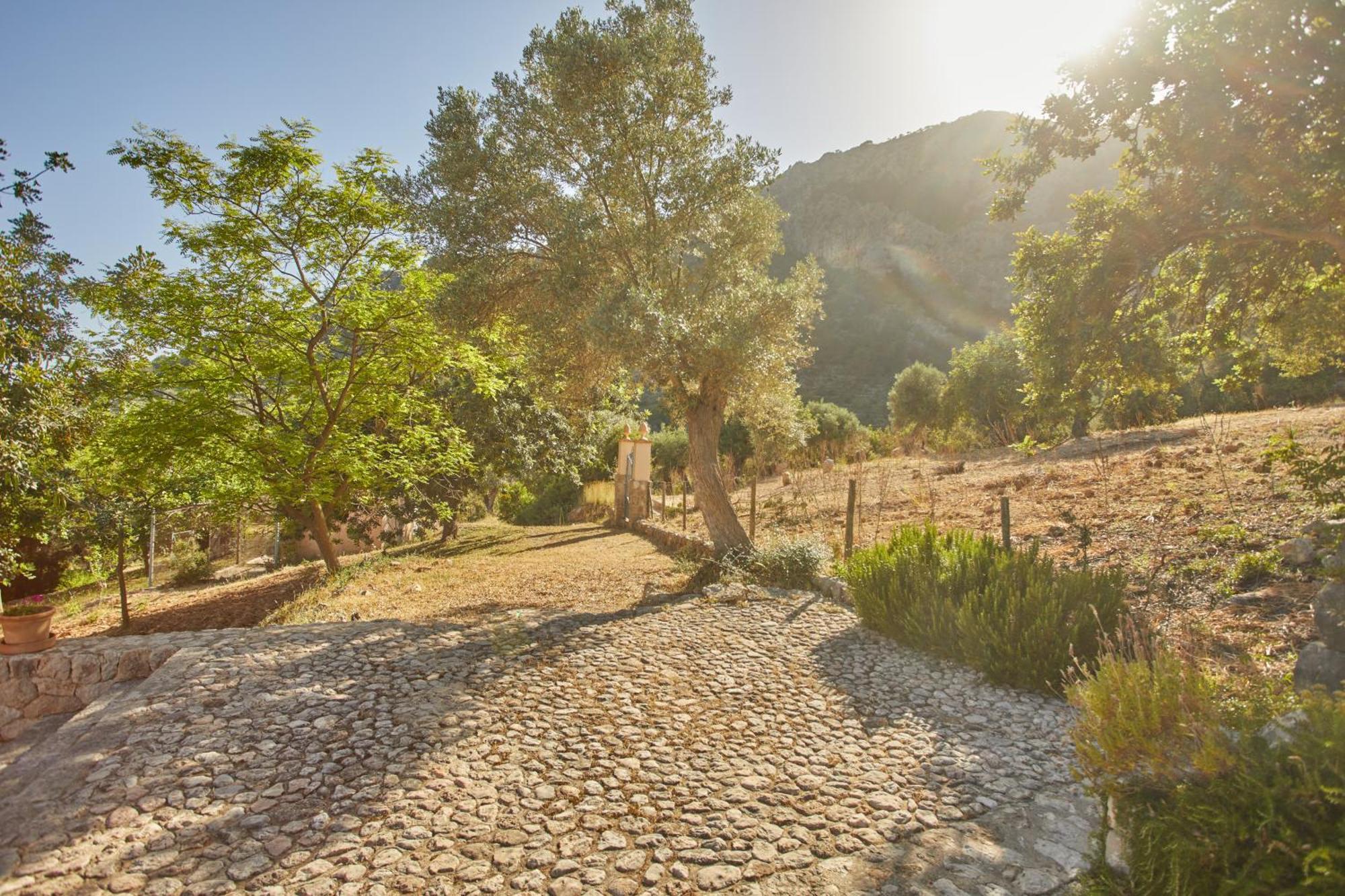 Alqueria Blanca Farm stay Bunyola