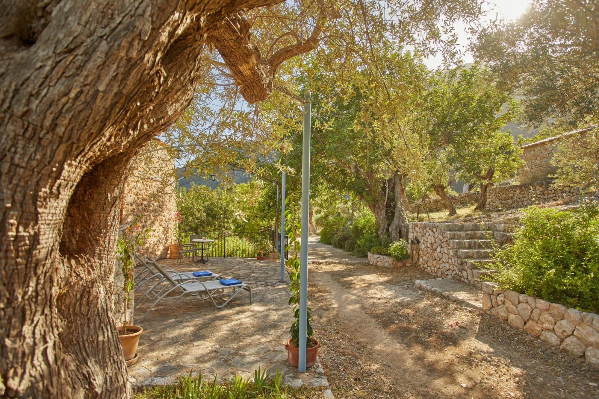 Farm stay Alqueria Blanca